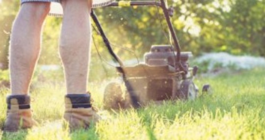 Grounds Maintenance